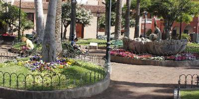 Hotel Bild 4Dreams Hotel in Puerto de la Cruz