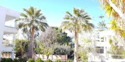 Hotel Bild Zinovia Apartments in Daratsos (Chania)