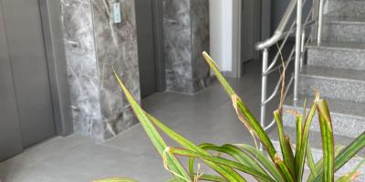 Hotel Bild Alya Rooms in Nord-Nikosia