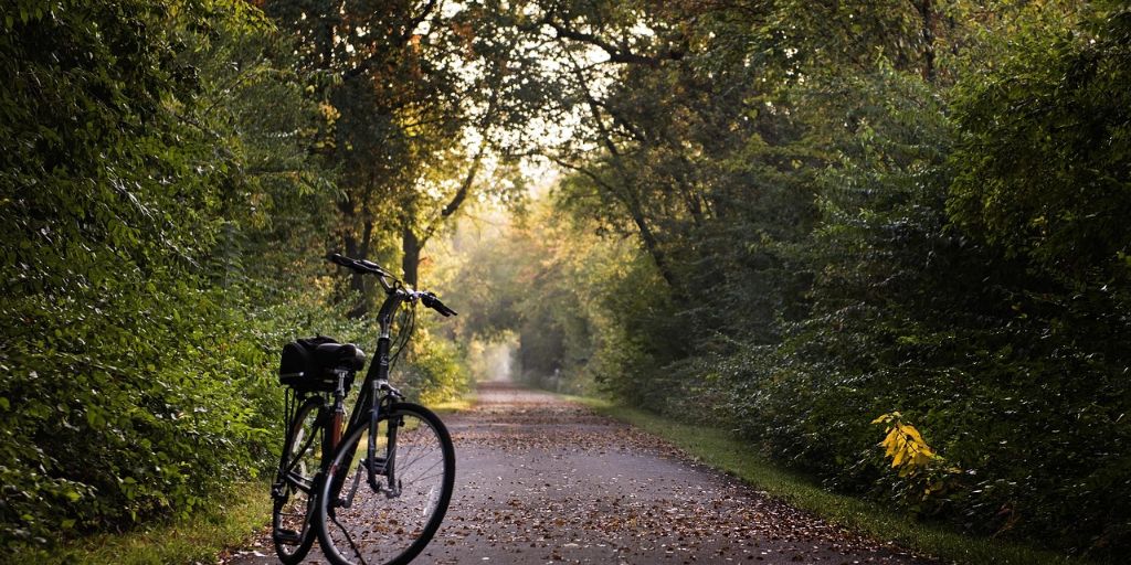 Fahrrad steht am Straßenrand