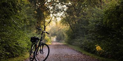Fahrrad steht am Straßenrand
