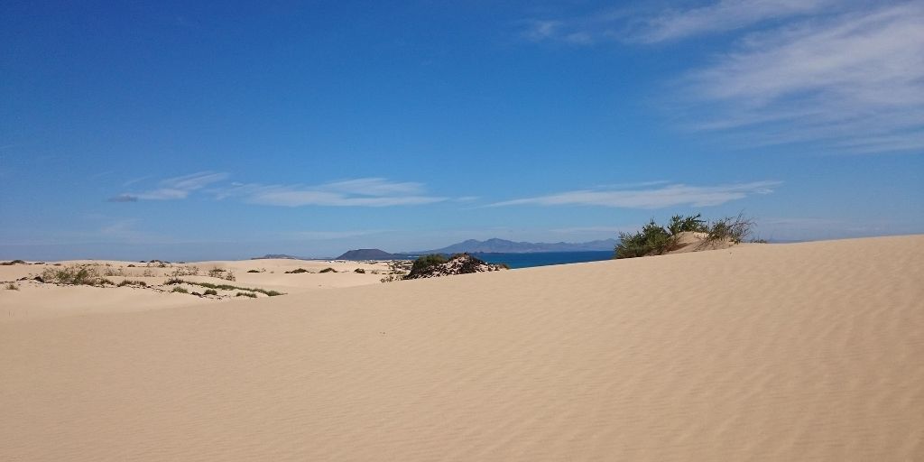 Dünen von Corralejo auf Fuerteventura mit Blick aufs Meer
