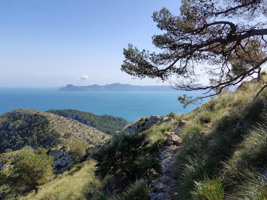 Mallorca Blick aufs Meer von einem Hügel