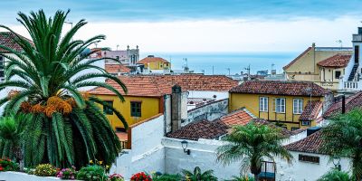Teneriffa Palmen und Häuser